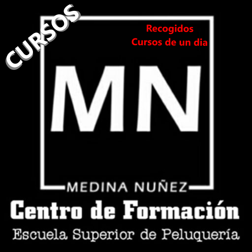 Curso artístico de recogidos modalidad un solo día